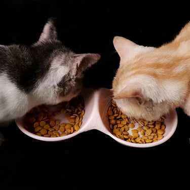 Cat Feeding Essentials