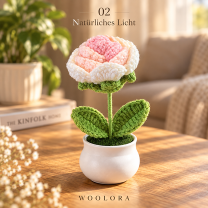 Bloom Pot – Rose Rosa & Weiß