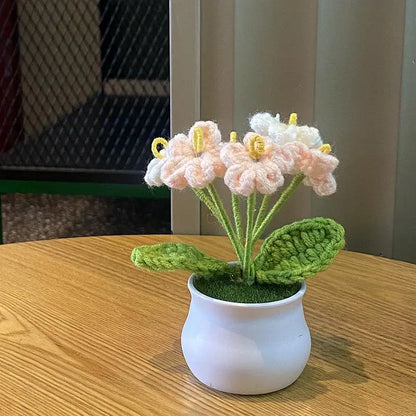 Bloom Pot – Primel Rosa & Weiß