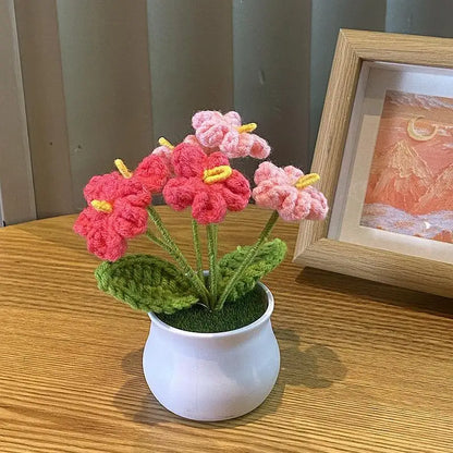 Bloom Pot – Hibiskus Rosa & Pink
