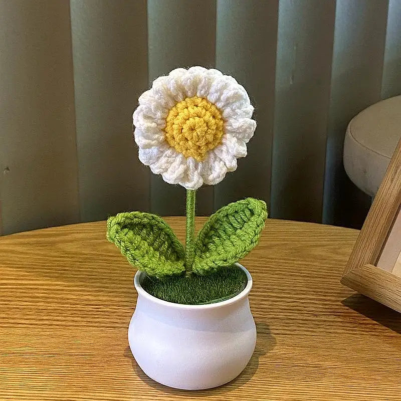 Bloom Pot – Margerite Weiß